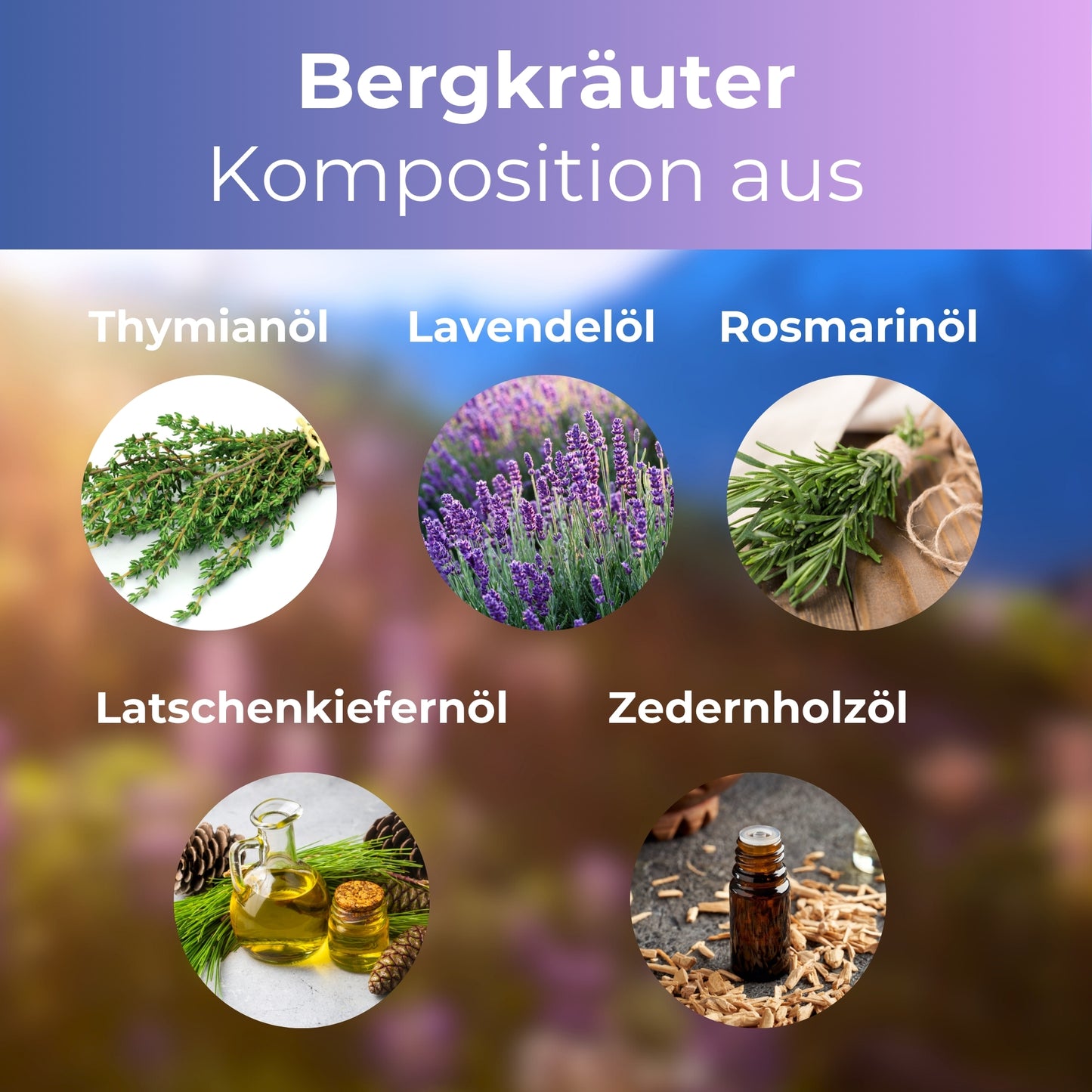 Saunaduft Saunaaufguss Sauna Duft Aufguss Konzentrat Bergkräuter 1L