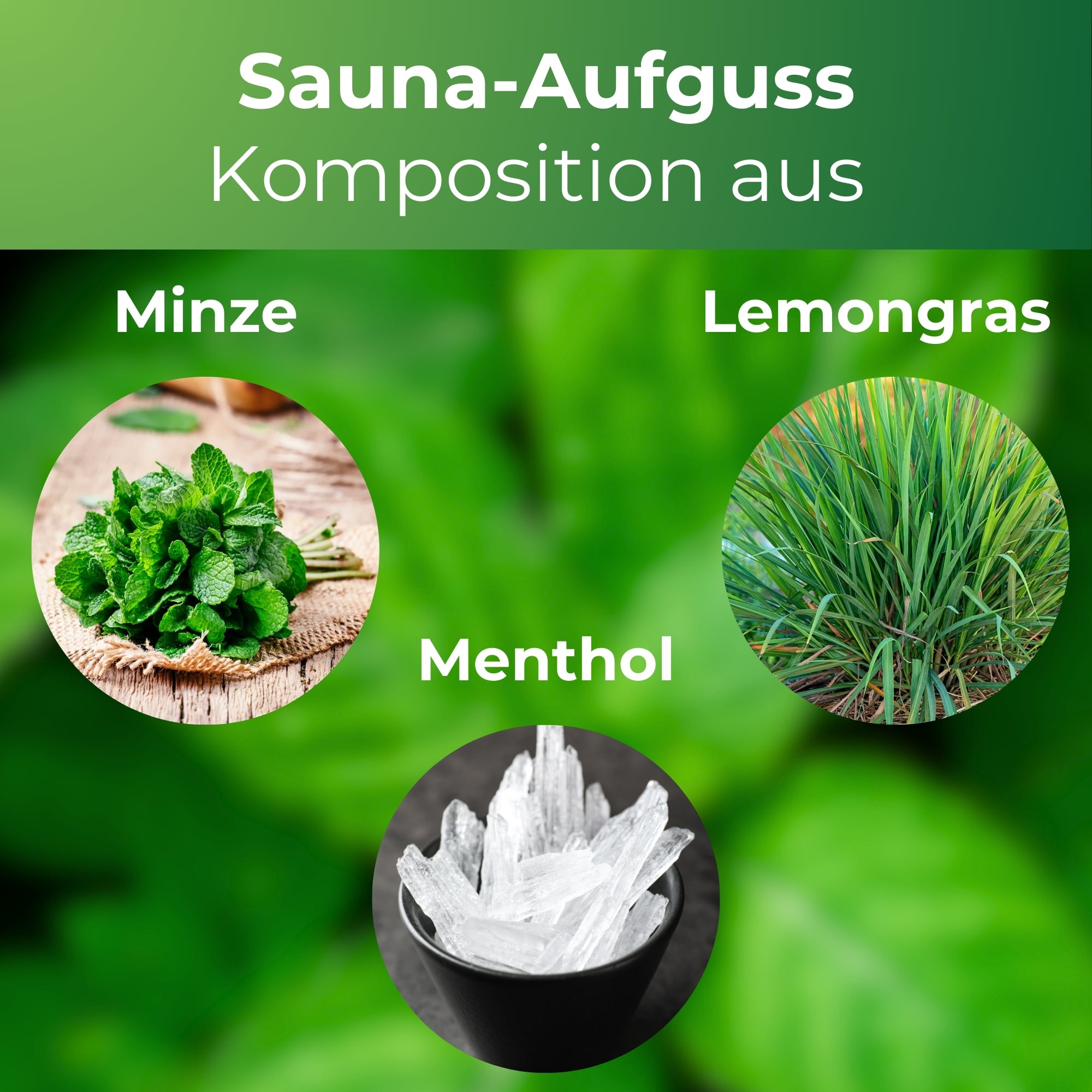 Saunaduft Saunaaufguss Sauna Duft Konzentrat Minze Lemongras 1L